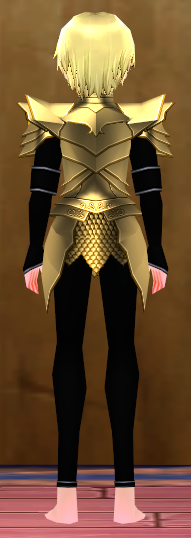 Equipped Male Dustin Silver Knight Armor (Gold) viewed from the back