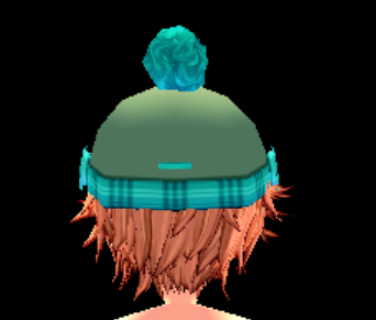 Equipped Count Cookie Hat & Wig viewed from the back