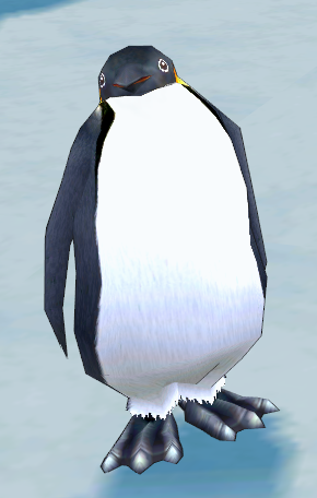 Portrait of The Youngest Penguin