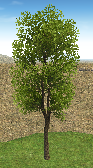 Building preview of Homestead Harmonious Prairie Tree
