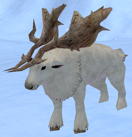 Picture of Young Gray Reindeer