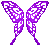 Icon of Fuschia Butterfly Wings