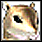 Pet Hamster (Transformed).png