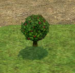 Berry Shrub on Homestead.png
