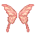 Pink Cutiefly Wings