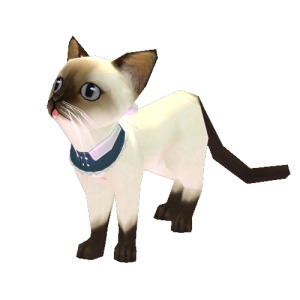 Mini Siamese Cat Pet.png