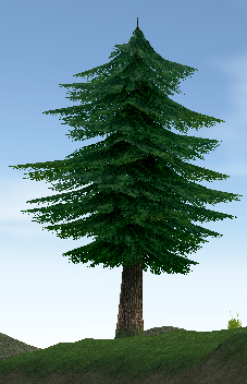 Building preview of Fir Tree (Homestead)
