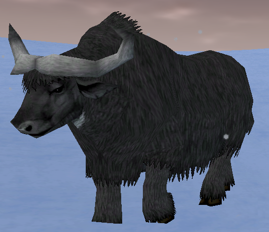 Picture of Black Buffalo