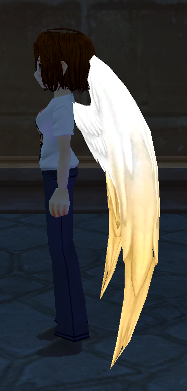 Yellow Ombre Holy Feather Wings Equipped Side Night.png