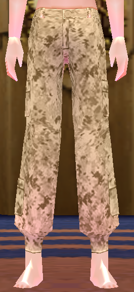Equipped Desert Soldier Camo Pants (M) viewed from the front
