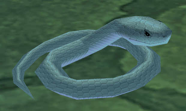 Picture of White Snake