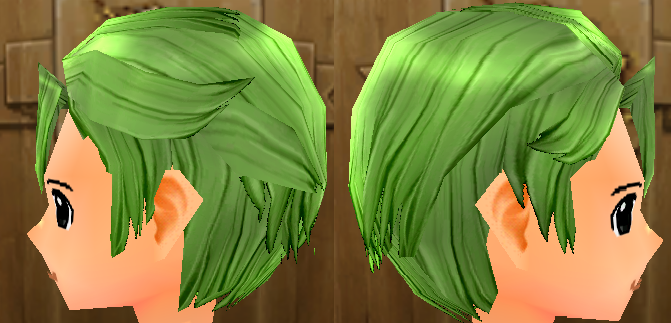 Equipped Lugh's Wig viewed from the side