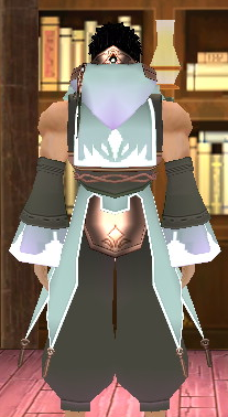 Equipped Giant Gamyu Wizard Robe Armor (M) viewed from the back with the hood down