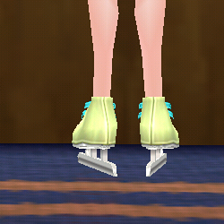 Equipped Ice Skates (M) viewed from the back