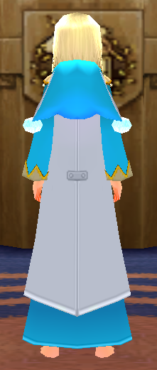 Equipped Male Jester Robe viewed from the back with the hood down