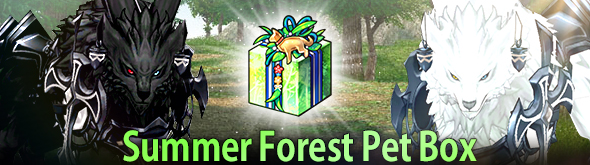 Banner - Summer Forest Pet Box.jpg