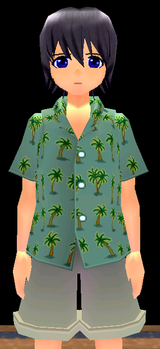 Premium Newbie Summer Ensemble Equipped Male Front.png