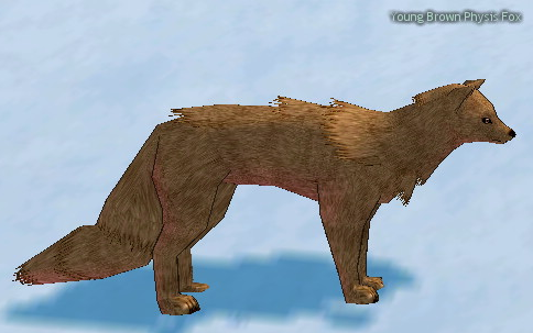 Young Brown Physis Fox.png