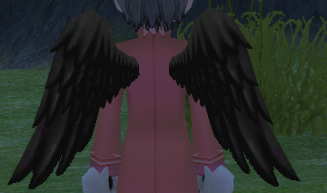 Black Cupid Wings Equipped Back Night.png