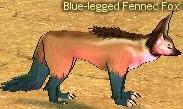 Blue-legged Fennec Fox.jpg