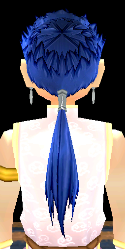 Equipped Lancer Wig viewed from the back