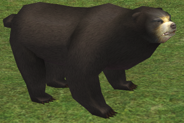 Picture of Burgundy Bear