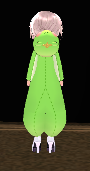 Equipped Magical Frog Robe viewed from the back with the hood down