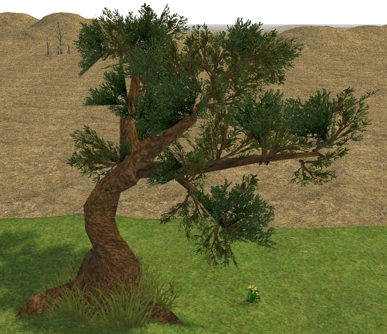 Building preview of Homestead Large Black Pine Tree