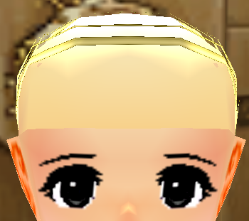 Bald Wig Equipped Front.png