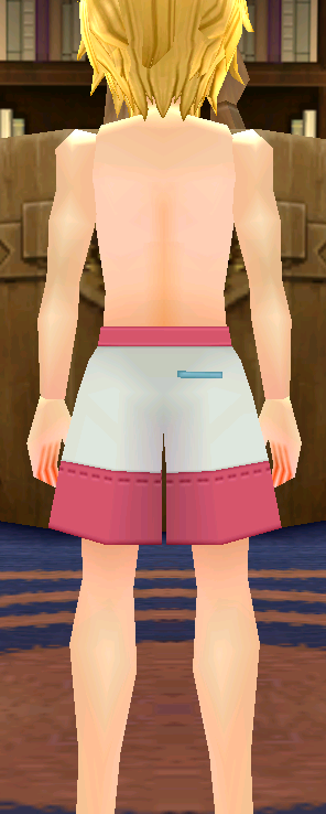 Swim Trunks (Two-Tone) (M) Equipped Back.png