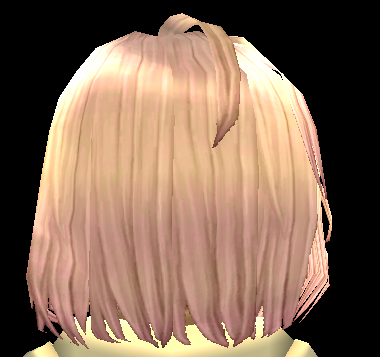 Equipped Caswyn Wig viewed from the back