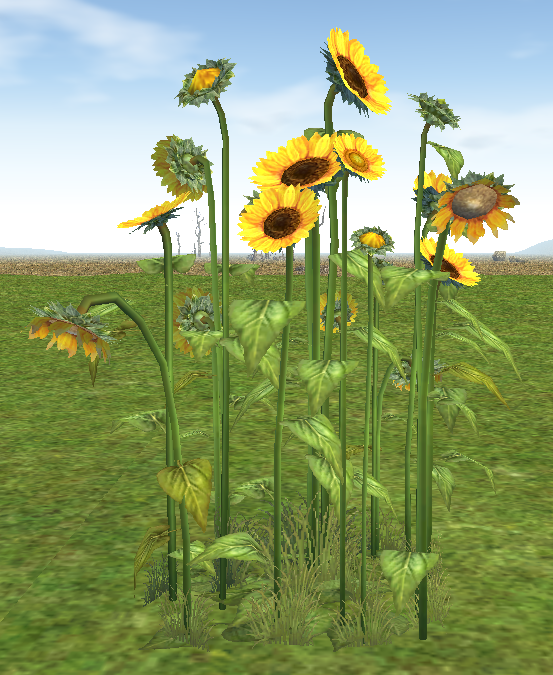 Building preview of Homestead Abundant Sunflower Patch