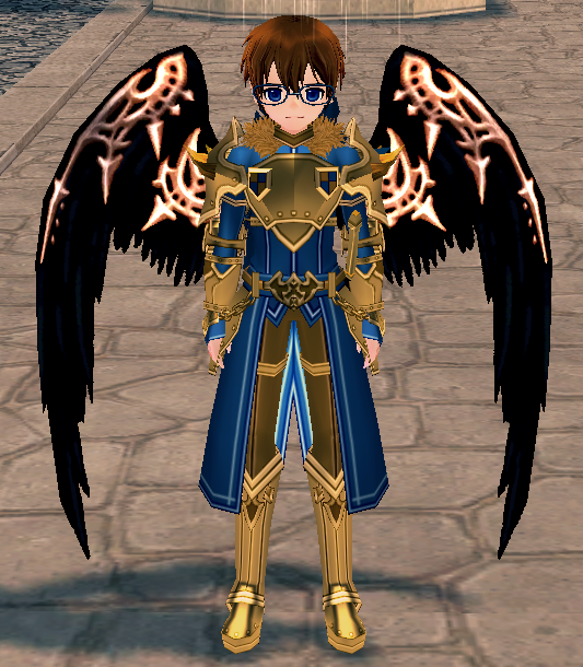 Equipped Black Sacred Feather Wings viewed from the front