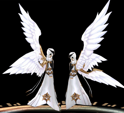 Equipped Eidos Asymetrical White sky wings viewed from the side