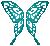 Turquoise Butterfly Wings
