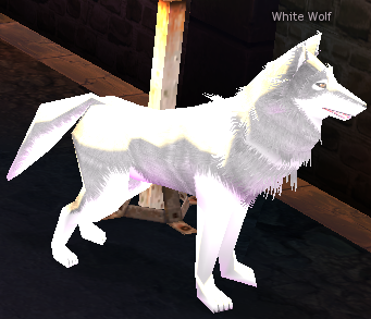 Picture of White Wolf (Arena)