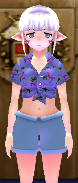 Premium Newbie Summer Ensemble (Elf) Equipped Female Front.png