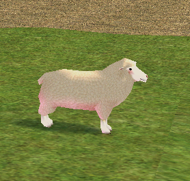 Sheep (Homestead) on Homestead.png
