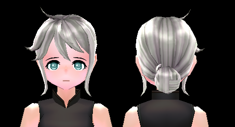 Private Academy Low Bun Hair Beauty Coupon (F) Preview.png