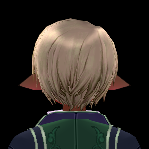 Equipped Scholar Wig (M) viewed from the back