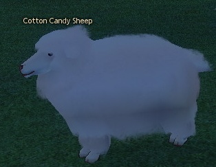 Picture of Cotton Candy Sheep
