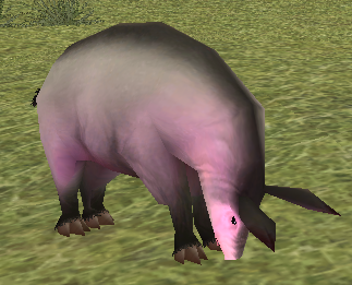 Big-eared Aardvark.png