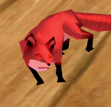 Portrait of Karo the Fox