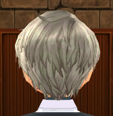 Equipped Prep Heart Wig (M) viewed from the back