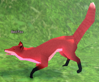 Picture of Red Fox
