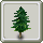 Homestead Fir Tree