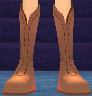 Lileas's Boots Equipped Front.png