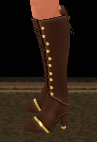 Equipped Laced Leather Boots (F) viewed from the side