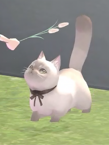 Siamese Purrling Chair preview.png
