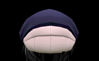 Equipped Troupe Member Hat viewed from the back